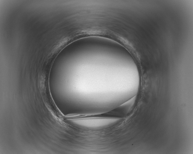 X0000080100201200612151629