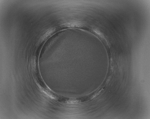 X0000080100202200612151629