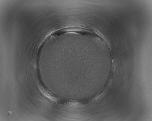 X0000080100203200612151629