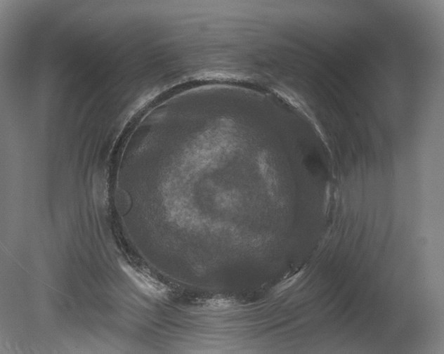 X0000080100204200612151629