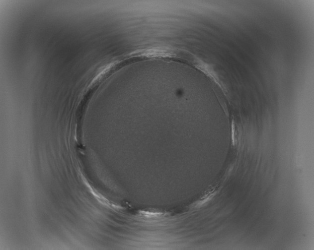 X0000080100205200612151629