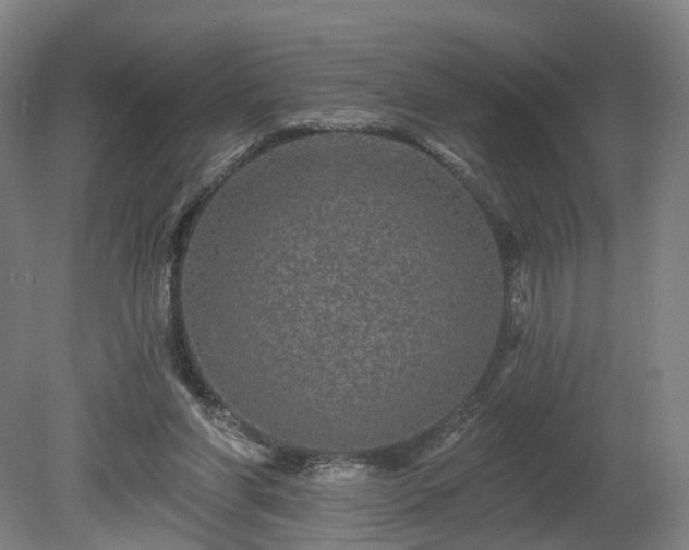 X0000080100206200612151629