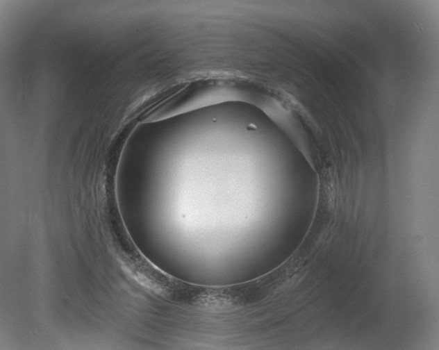 X0000080100207200612151629