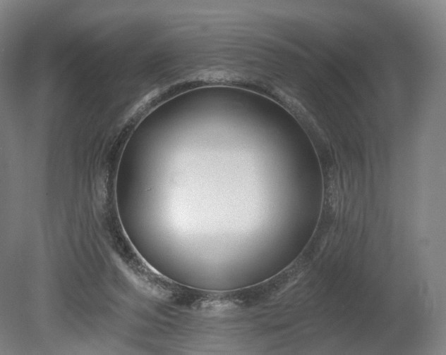 X0000080100208200612151629