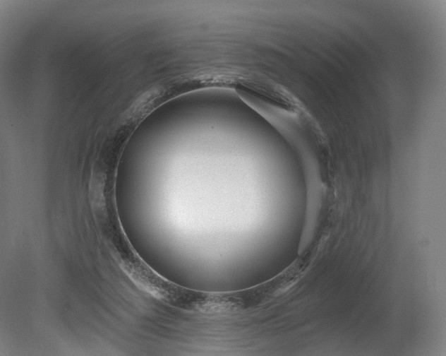 X0000080100209200612151629