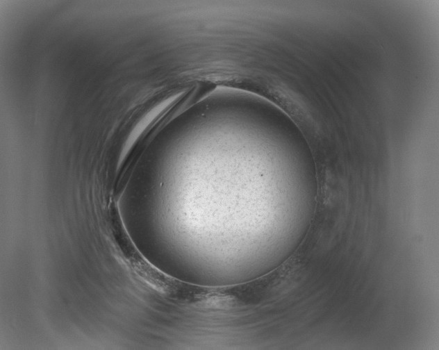 X0000080100210200612151629