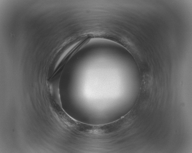 X0000080100212200612151629