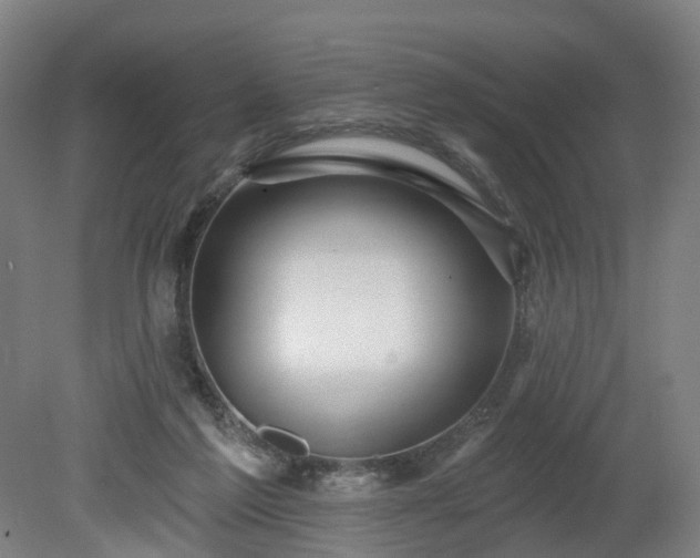 X0000080100213200612151629