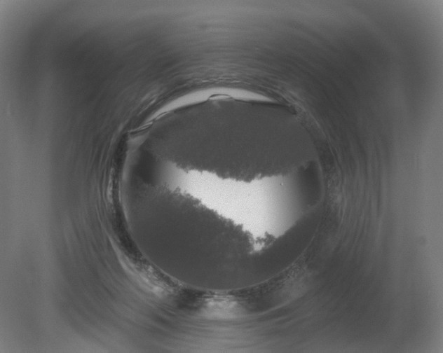 X0000080100214200612151629