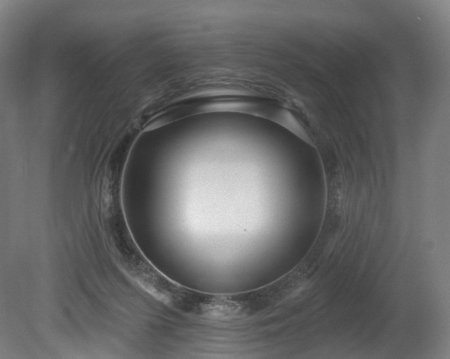 X0000080100215200612151629