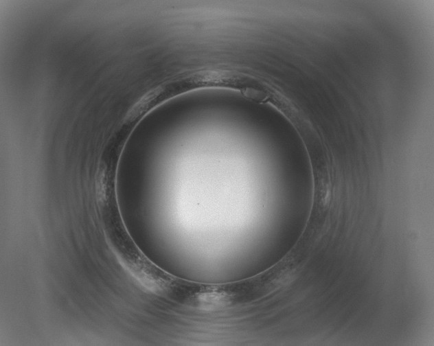 X0000080100216200612151629