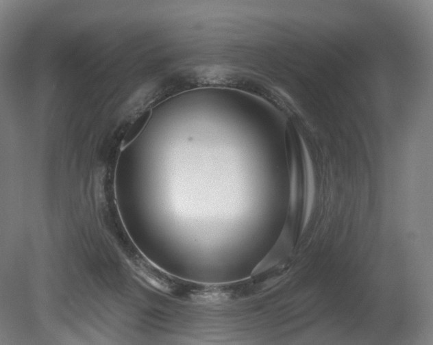 X0000080100217200612151629