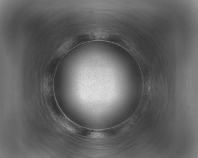 X0000080100218200612151629