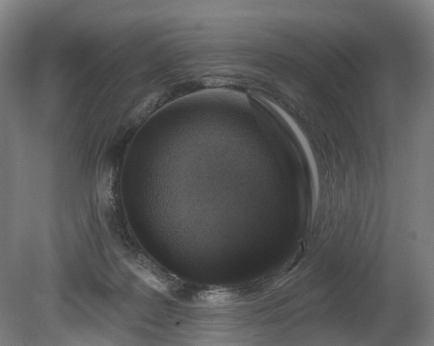 X0000080100219200612151629