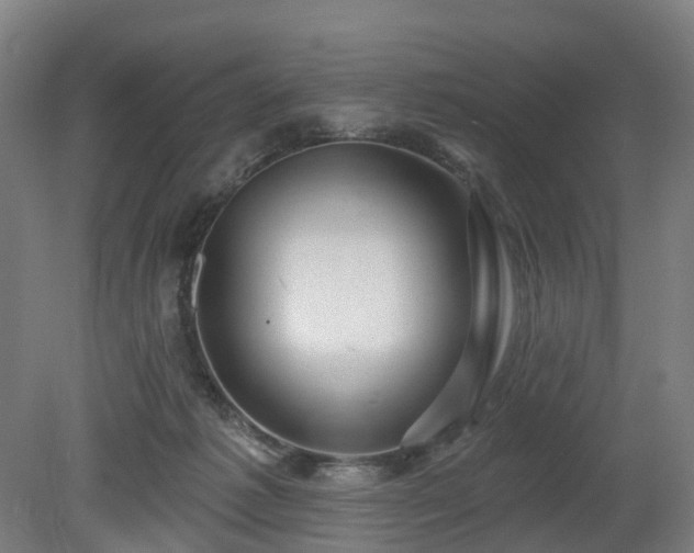 X0000080100221200612151629