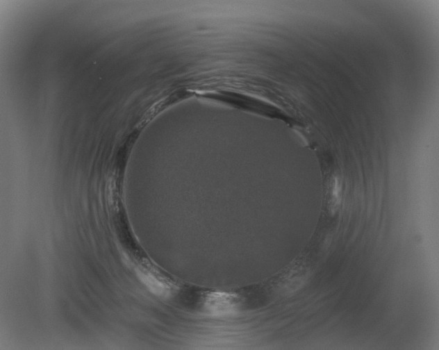 X0000080100222200612151629