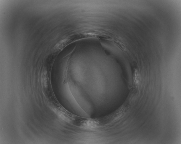 X0000080100223200612151629