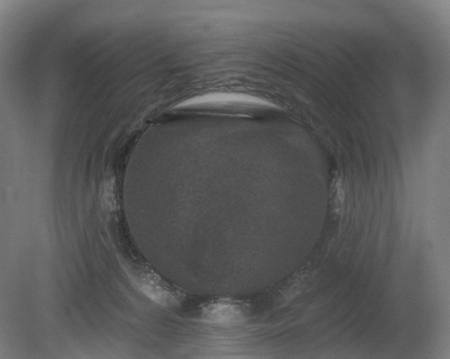 X0000080100224200612151629