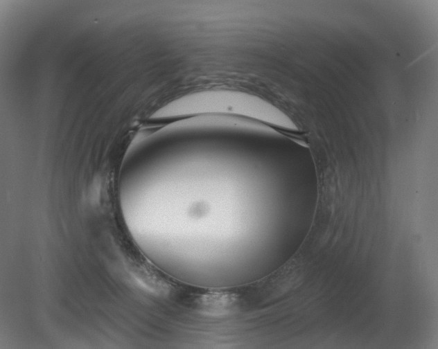 X0000080100225200612151629