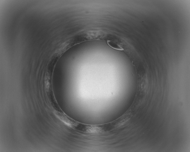 X0000080100226200612151629