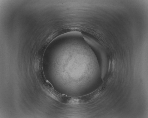 X0000080100227200612151629