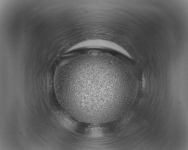 X0000080100228200612151629