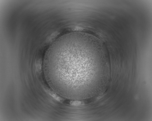 X0000080100230200612151629