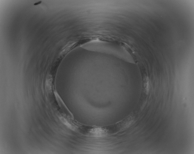 X0000080100231200612151629