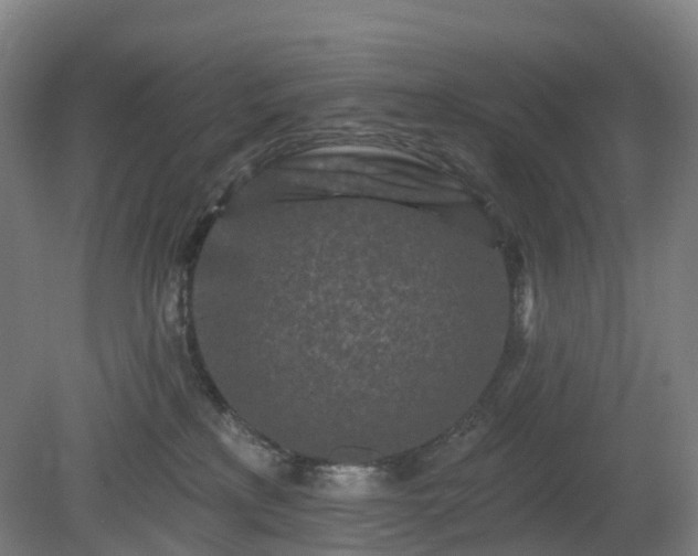 X0000080100233200612151629