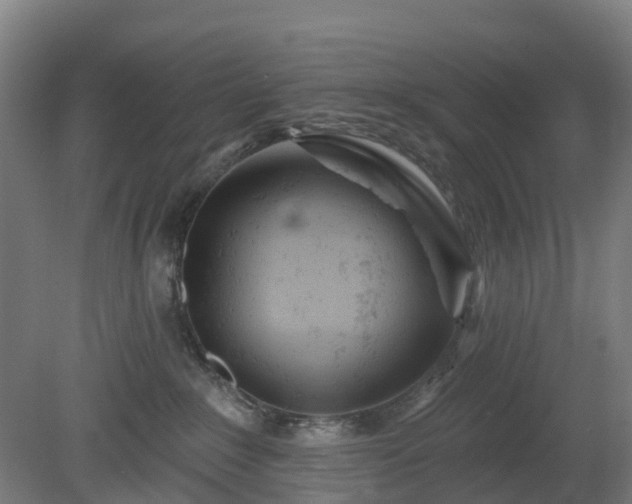 X0000080100235200612151629