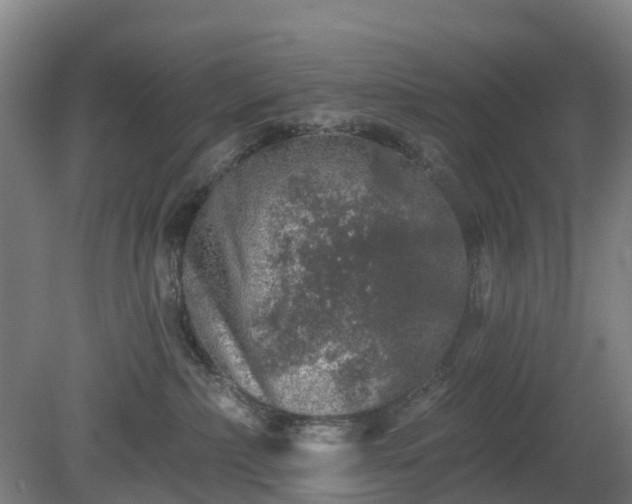 X0000080100236200612151629