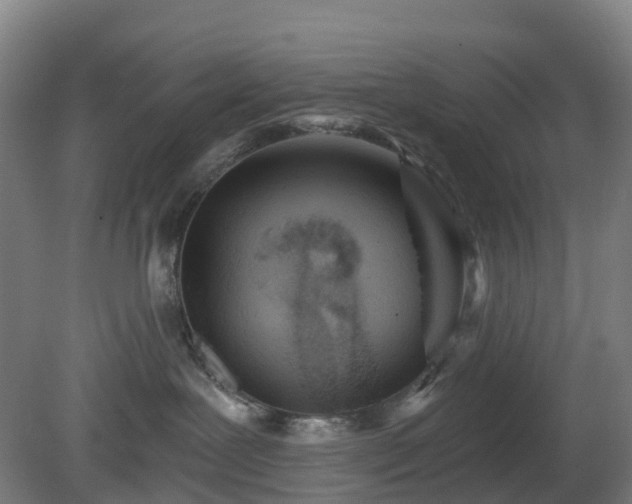 X0000080100239200612151629