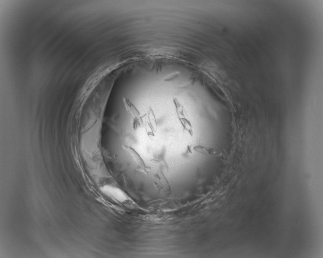 X0000080100241200612151628