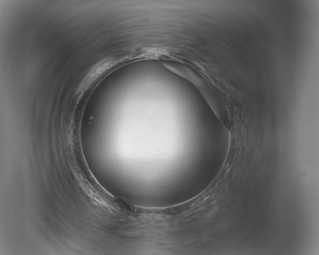 X0000080100242200612151628