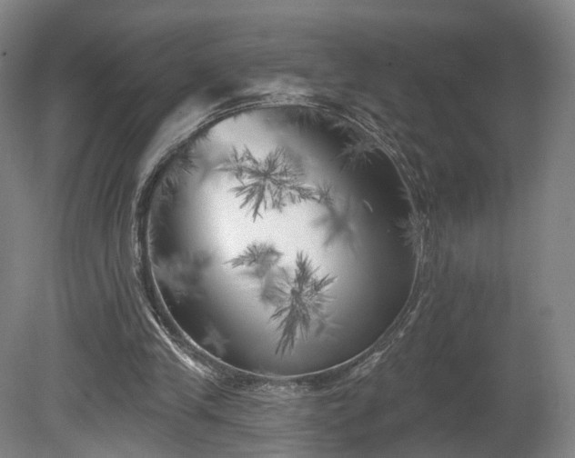 X0000080100245200612151628