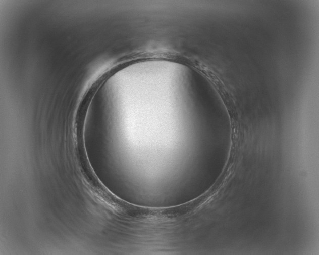 X0000080100246200612151628