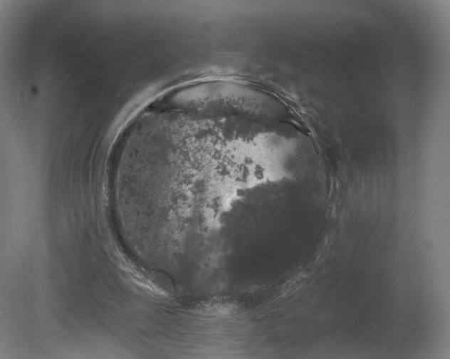 X0000080100247200612151628