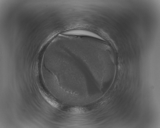 X0000080100250200612151628