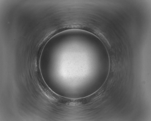 X0000080100251200612151628