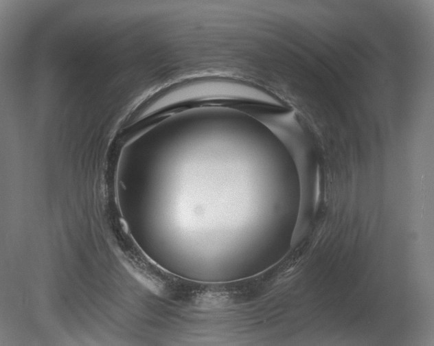 X0000080100252200612151628