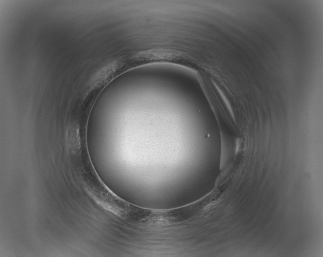 X0000080100254200612151628