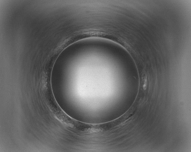 X0000080100255200612151628