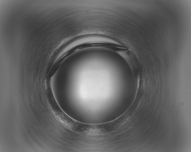 X0000080100256200612151628