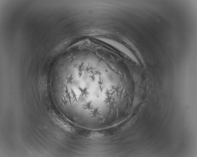 X0000080100257200612151628