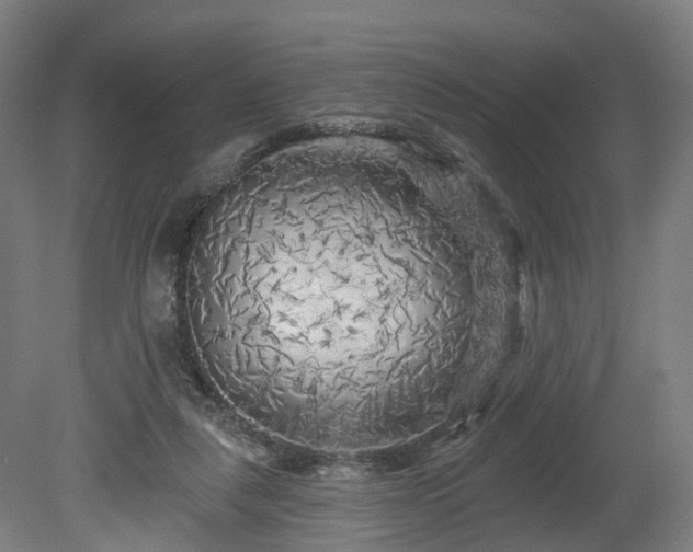 X0000080100259200612151628