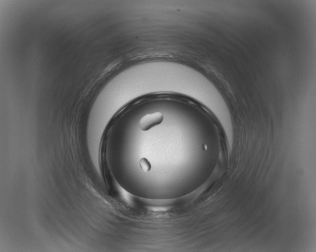 X0000080100260200612151628