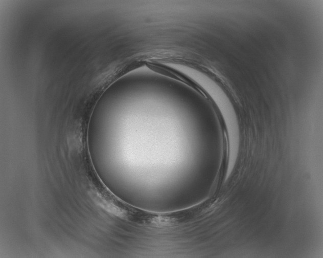 X0000080100261200612151628