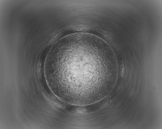 X0000080100263200612151628