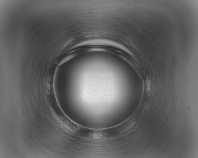 X0000080100264200612151628