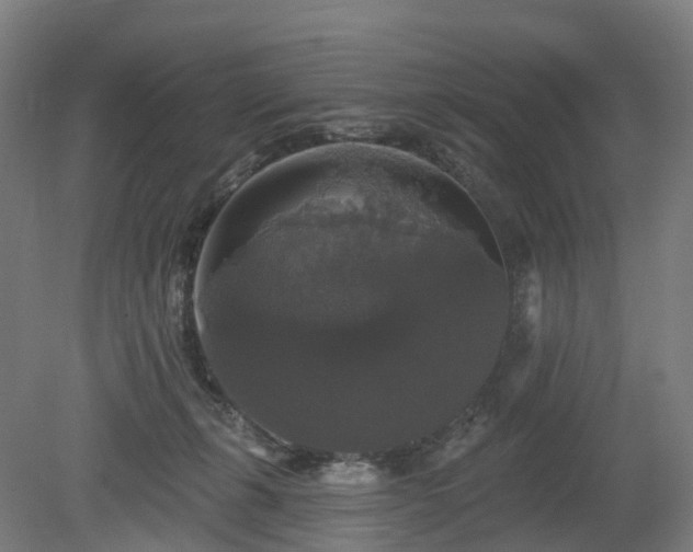 X0000080100271200612151628